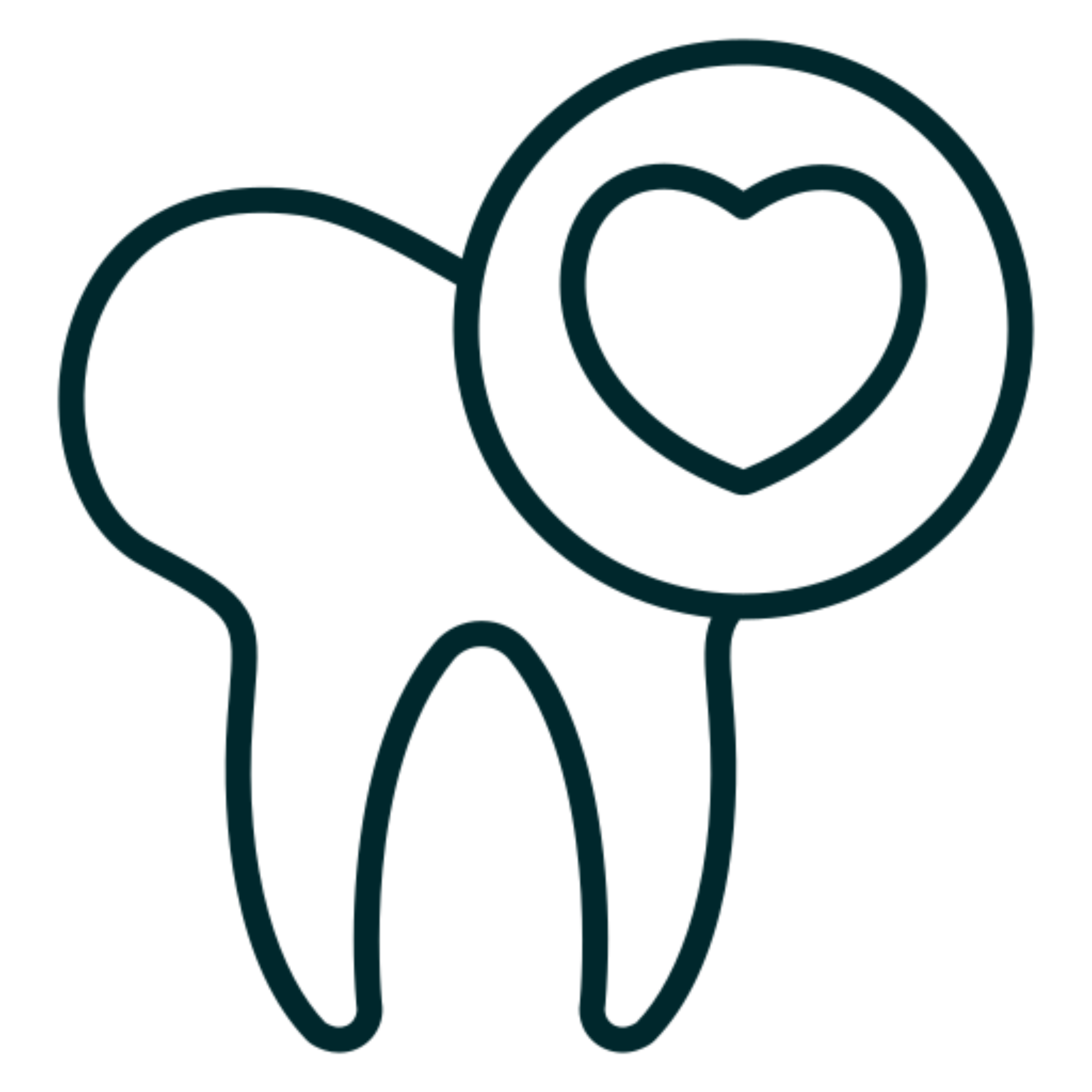 MetLife Dental PPO