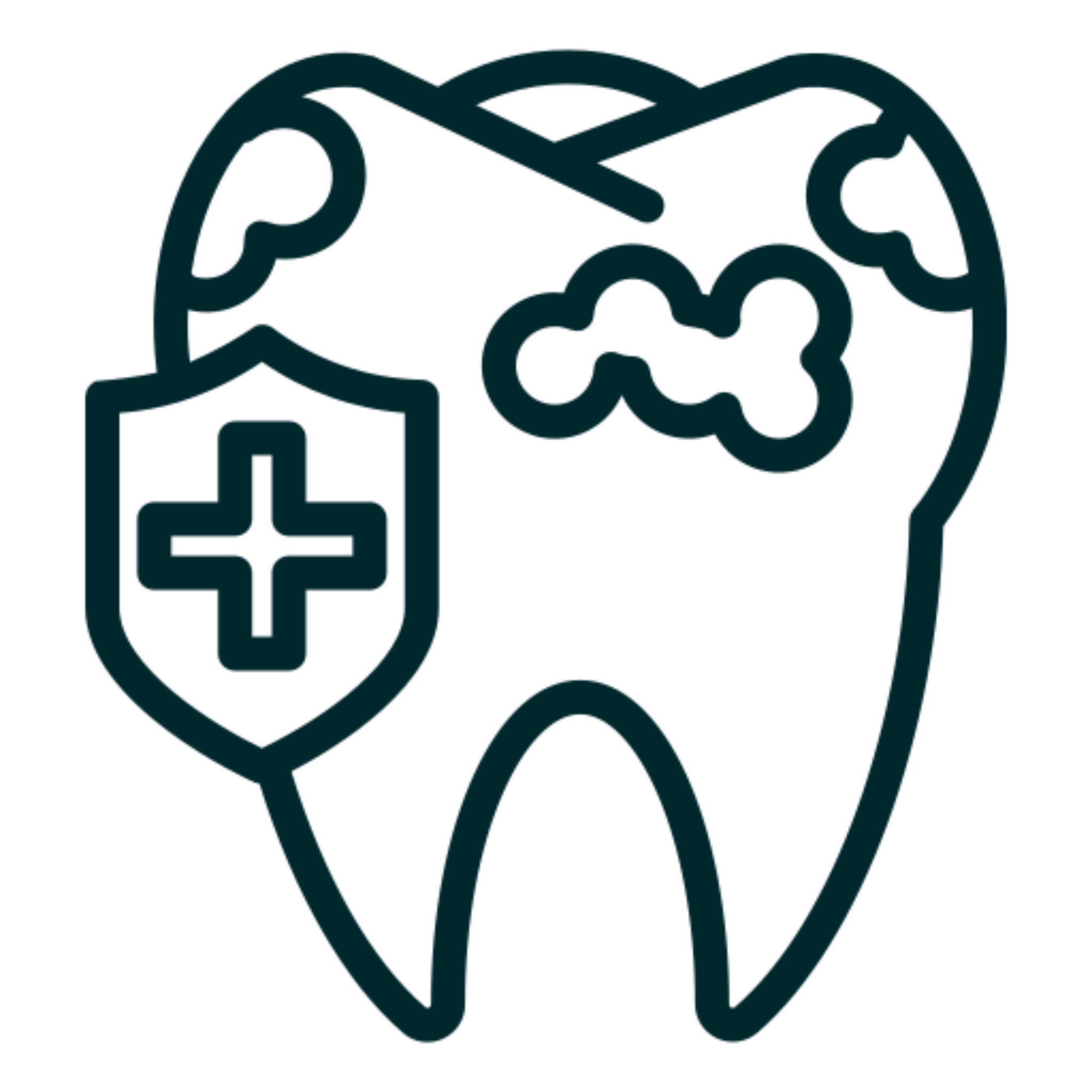 UnitedHealthcare <span class="dsp-block">Dental PPO</span>